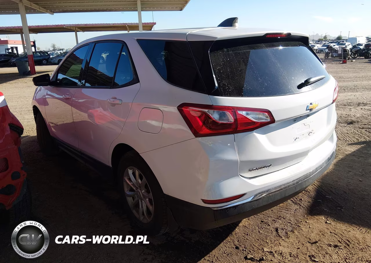 2019 Chevrolet Equinox Ls VIN:3GNAXHEV6KS615786 - 3