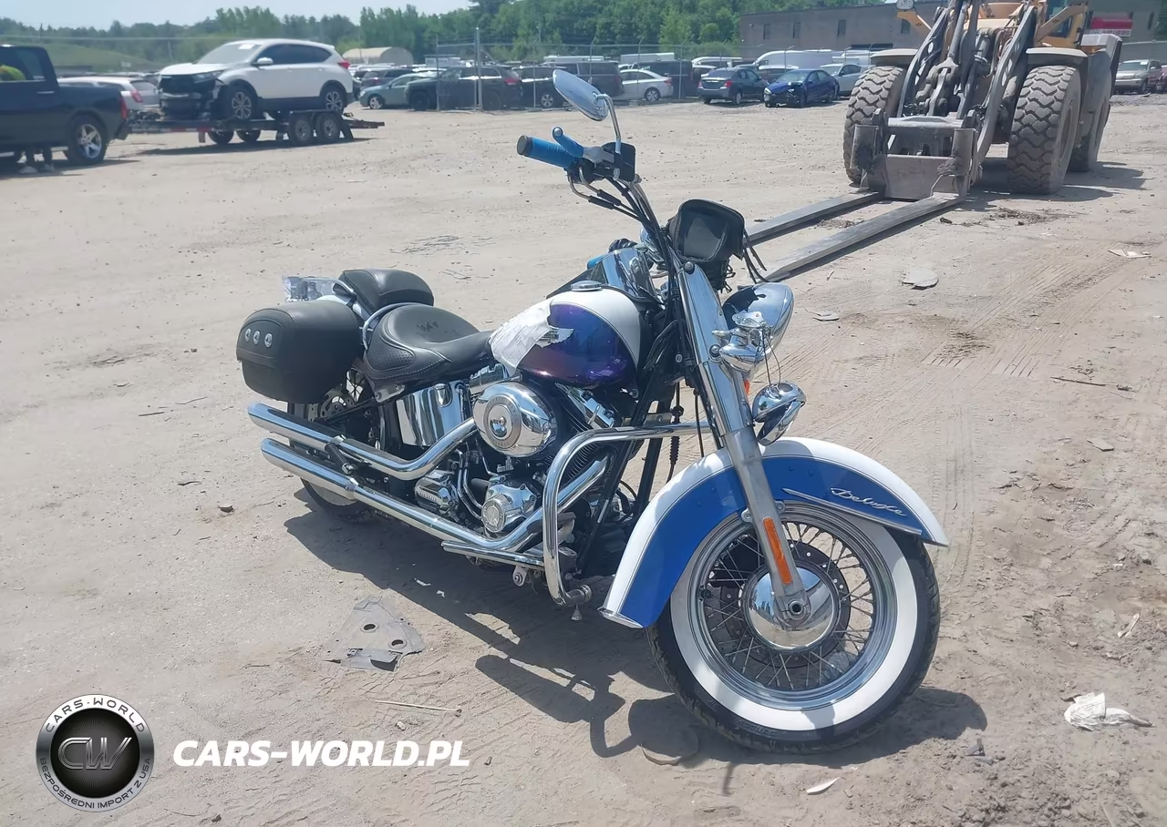 2010 Harley-Davidson Flstn