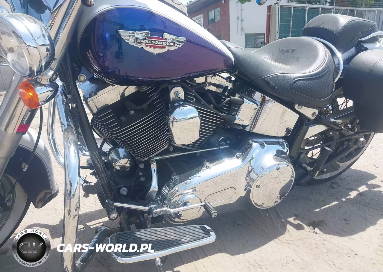 2010 Harley-Davidson Flstn VIN:1HD1JD515AB042095 - 9