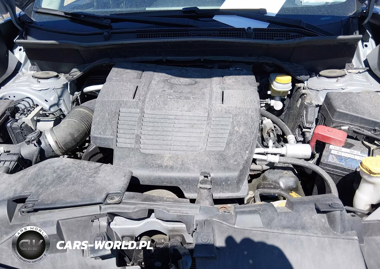 2019 Subaru Forester Limited VIN:JF2SKAUC3KH556290 - 10