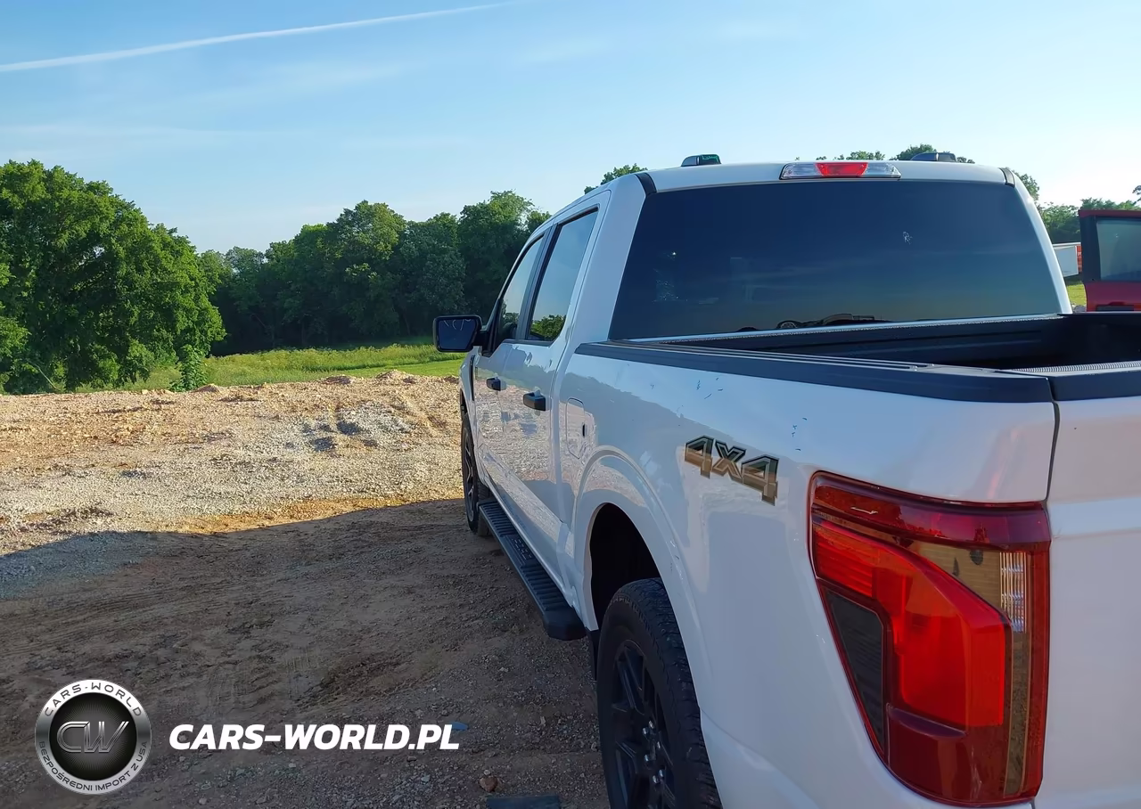 2024 Ford F-150 Stx VIN:1FTFW2L5XRKD95897 - 19