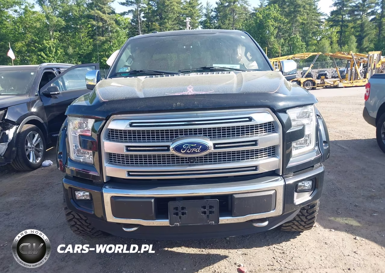 2015 Ford F-150 Platinum VIN:1FTFW1EG8FFC56137 - 12