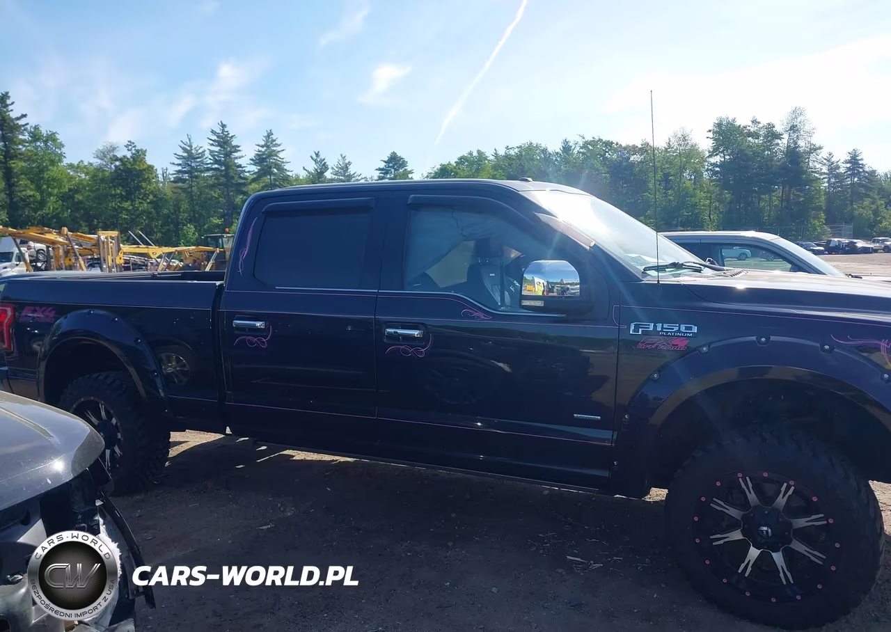 2015 Ford F-150 Platinum VIN:1FTFW1EG8FFC56137 - 13