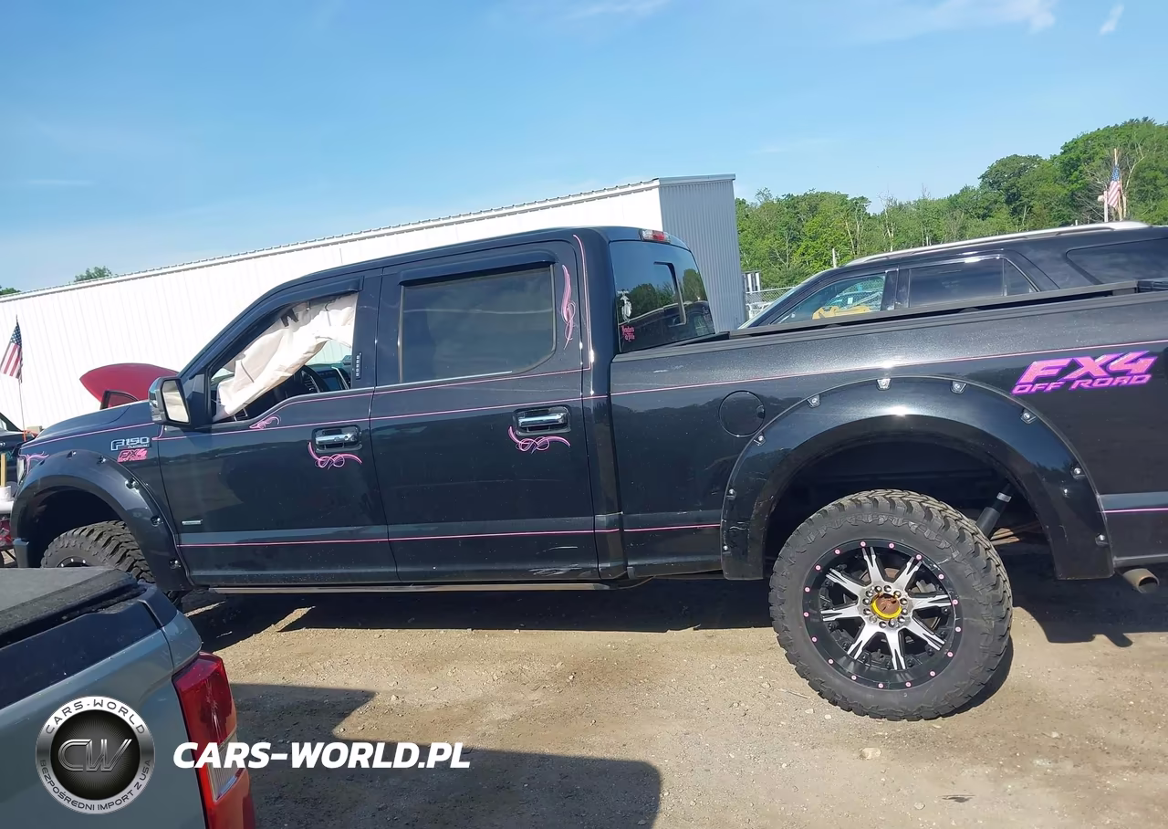 2015 Ford F-150 Platinum VIN:1FTFW1EG8FFC56137 - 14