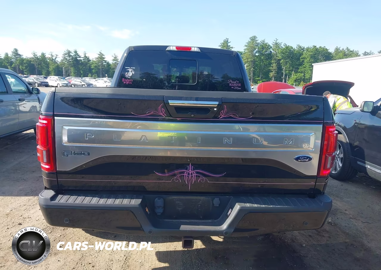 2015 Ford F-150 Platinum VIN:1FTFW1EG8FFC56137 - 16