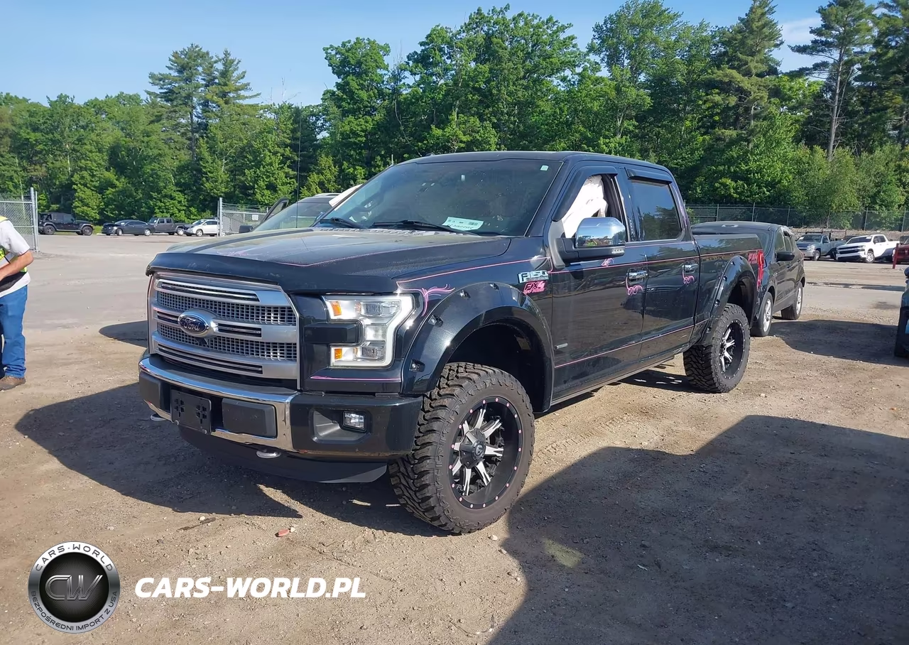 2015 Ford F-150 Platinum VIN:1FTFW1EG8FFC56137 - 2