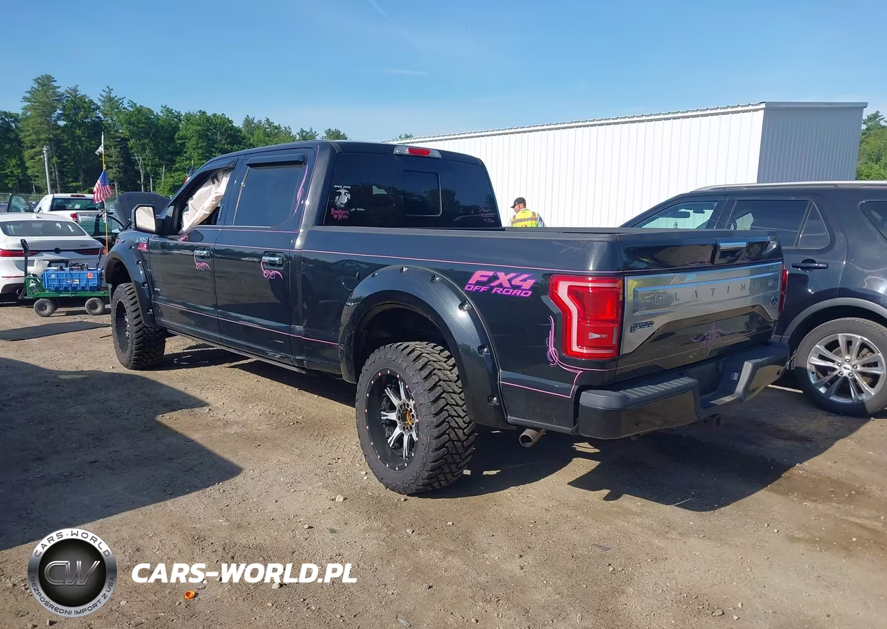 2015 Ford F-150 Platinum VIN:1FTFW1EG8FFC56137 - 3