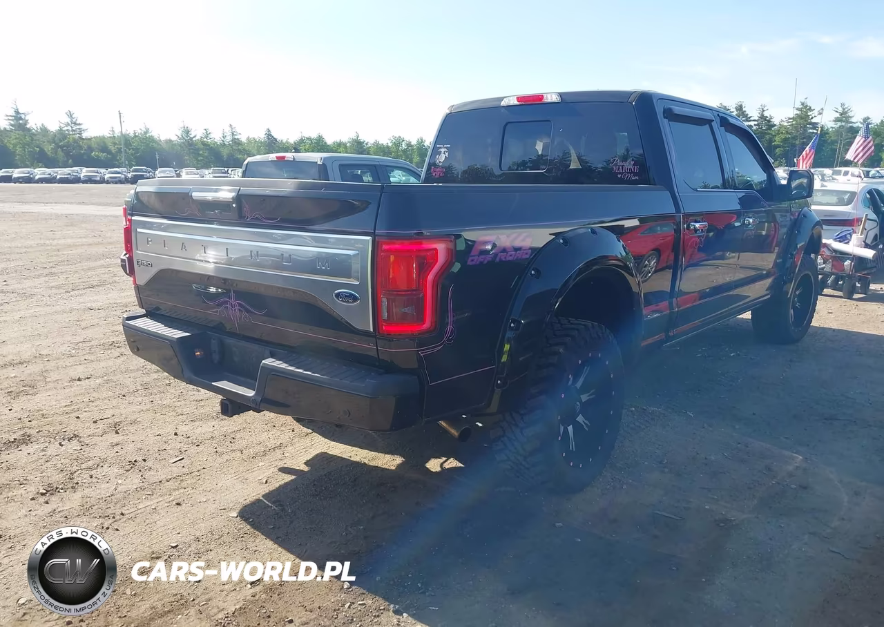 2015 Ford F-150 Platinum VIN:1FTFW1EG8FFC56137 - 4