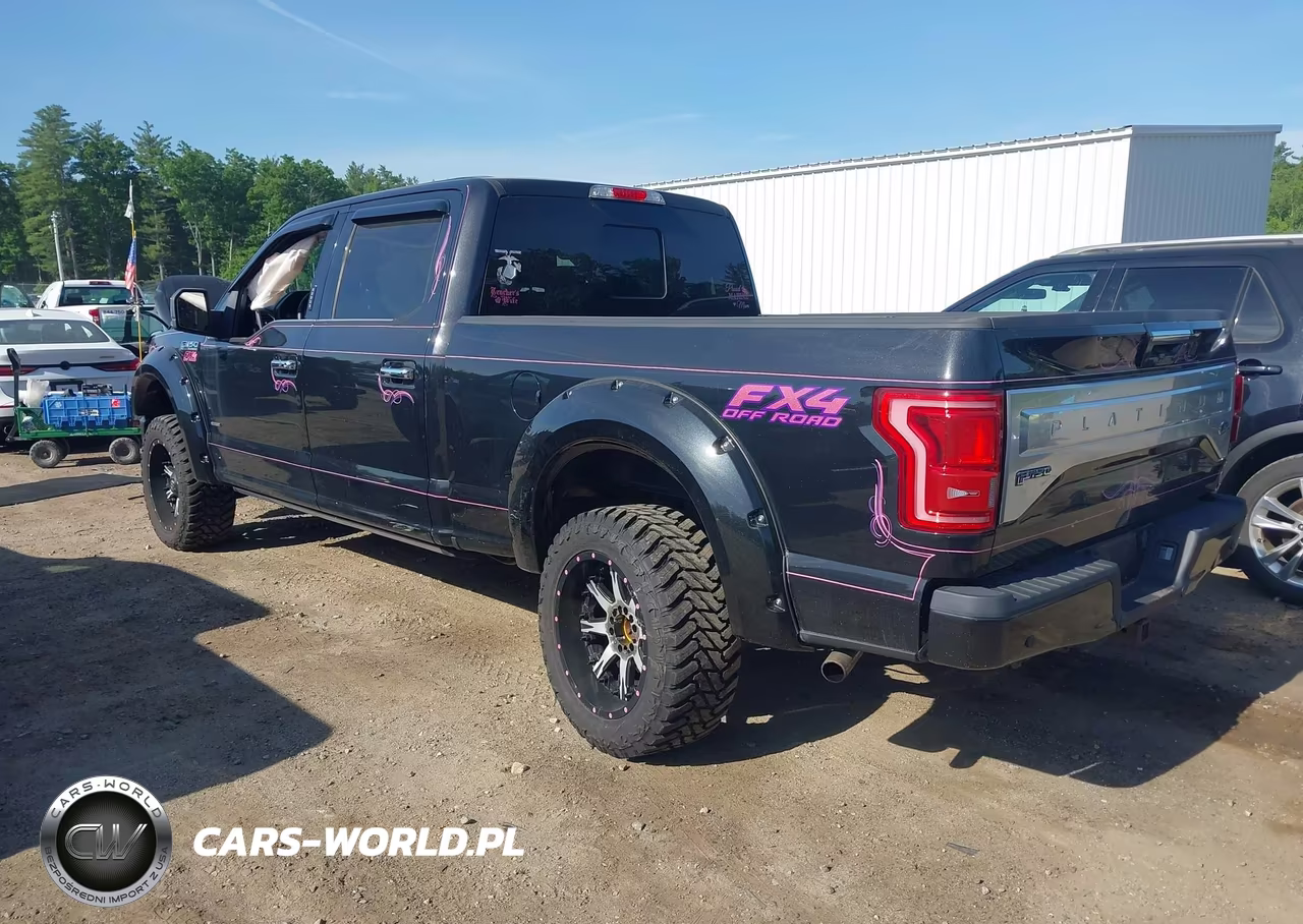 2015 Ford F-150 Platinum VIN:1FTFW1EG8FFC56137 - 6