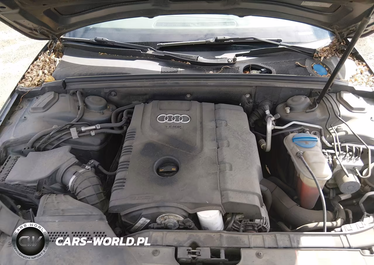 2010 Audi A4 2.0T Premium VIN:WAUFFAFL2AN052666 - 10