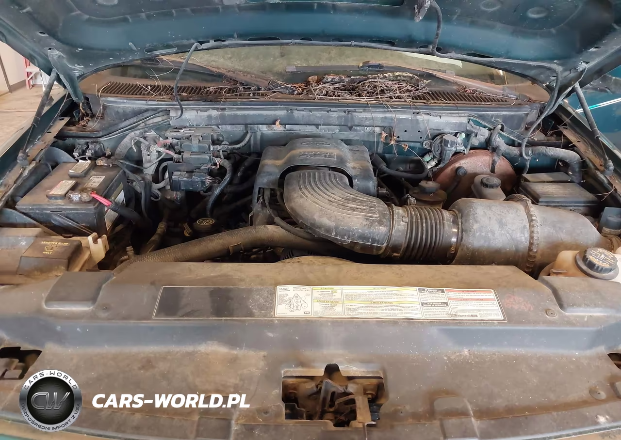 1997 Ford F150 VIN:1FTDX08W5VKB44807 - 10