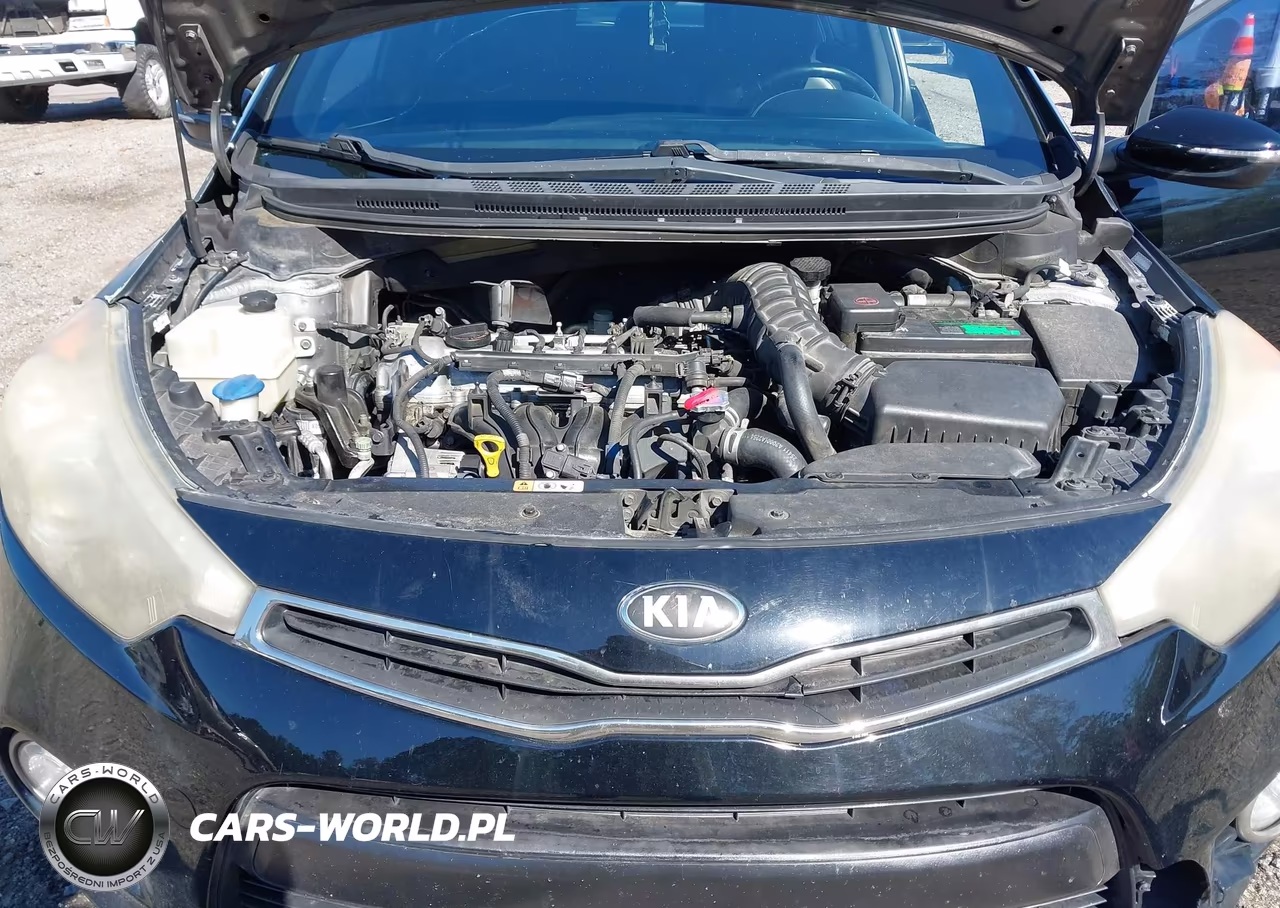 2015 Kia Forte Sx VIN:KNAFZ5A33F5405218 - 10