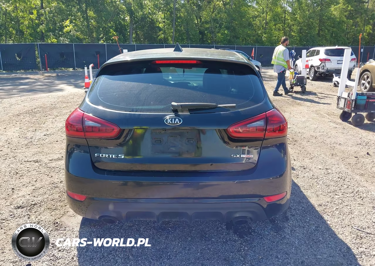2015 Kia Forte Sx VIN:KNAFZ5A33F5405218 - 16