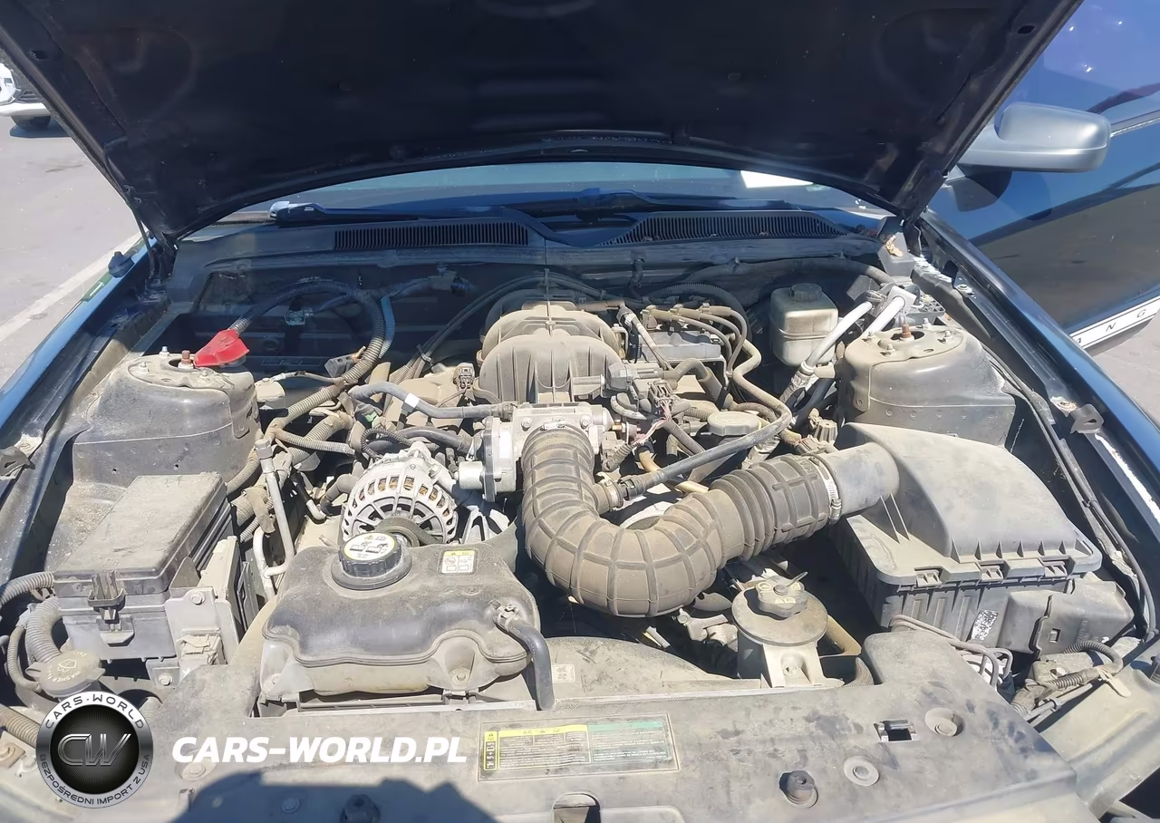 2007 Ford Mustang V6 Deluxe-V6 Premium VIN:1ZVFT80N375198322 - 10
