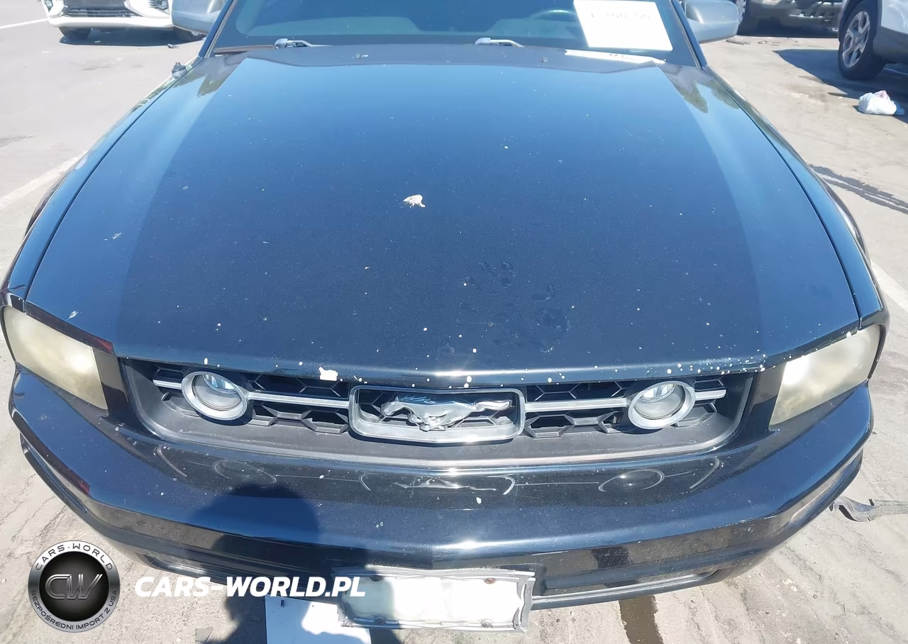 2007 Ford Mustang V6 Deluxe-V6 Premium VIN:1ZVFT80N375198322 - 6