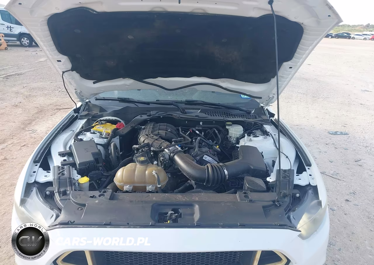 2016 Ford Mustang V6 VIN:1FA6P8AM8G5206434 - 10