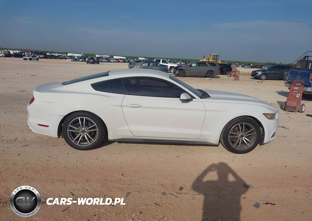2016 Ford Mustang V6 VIN:1FA6P8AM8G5206434 - 13