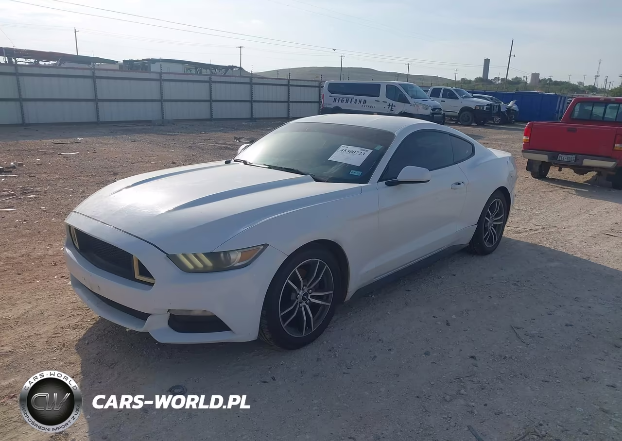 2016 Ford Mustang V6 VIN:1FA6P8AM8G5206434 - 2