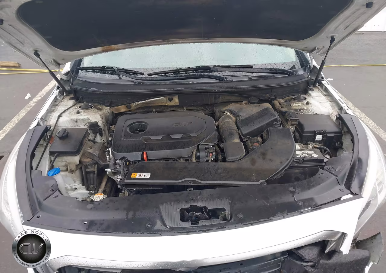 2015 Hyundai Sonata Se VIN:5NPE24AF4FH220098 - 10