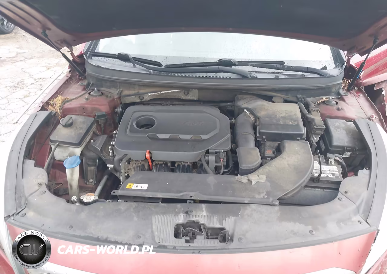 2015 Hyundai Sonata Se VIN:5NPE24AF7FH124367 - 10