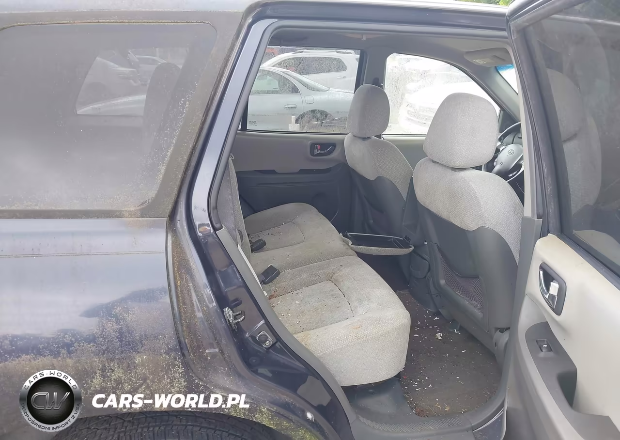 2006 Hyundai Santa Fe Gls-Limited VIN:KM8SC73E46U072834 - 8