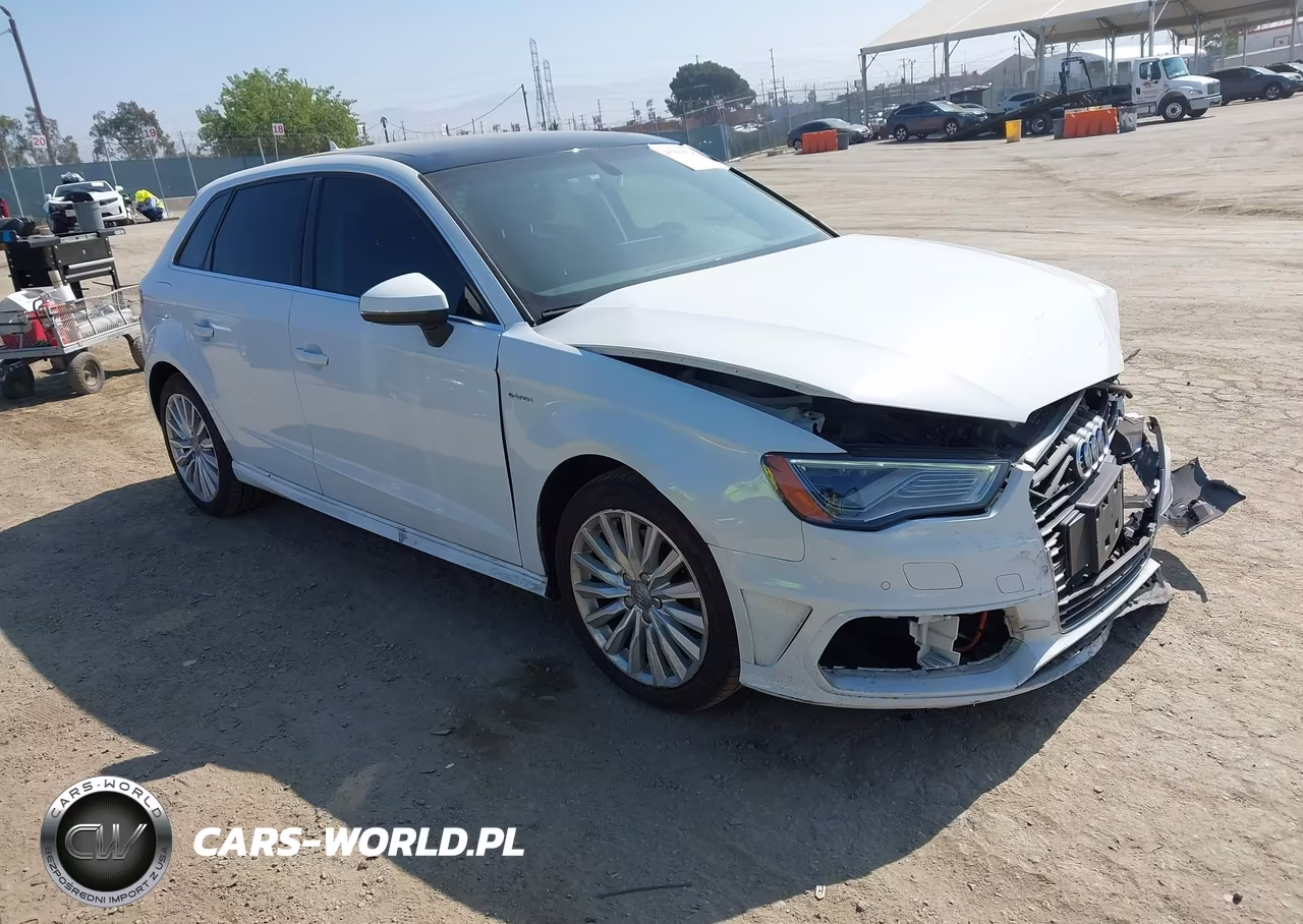 2016 Audi A3 E-Tron 1.4T Premium VIN:WAUTPBFF7GA027665 - 1