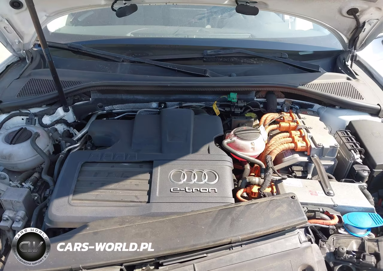 2016 Audi A3 E-Tron 1.4T Premium VIN:WAUTPBFF7GA027665 - 10