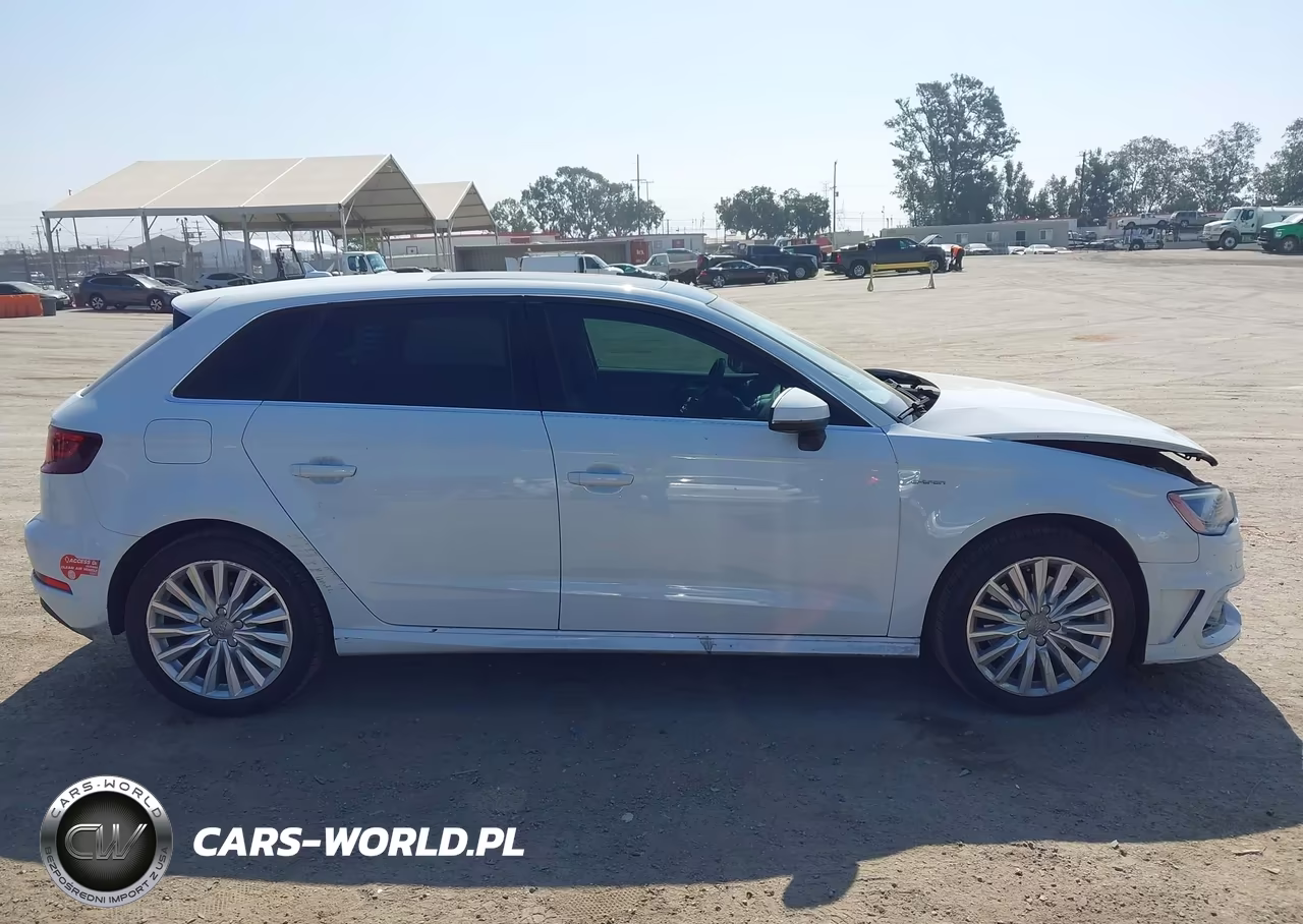 2016 Audi A3 E-Tron 1.4T Premium VIN:WAUTPBFF7GA027665 - 13