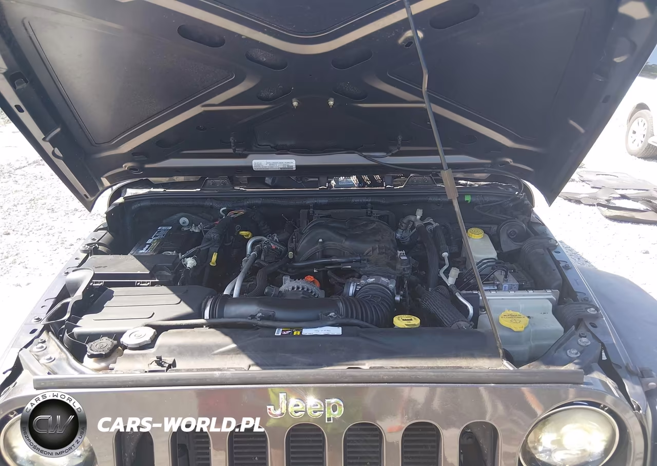 2016 Jeep Wrangler Unlimited Sport VIN:1C4HJWDG5GL236159 - 10