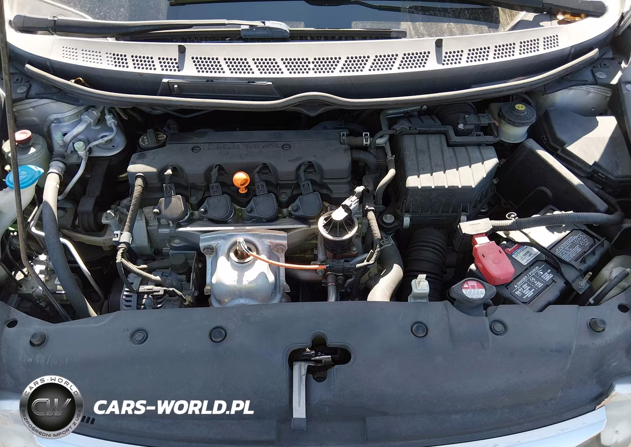 2010 Honda Civic Lx VIN:19XFA1F55AE069498 - 10