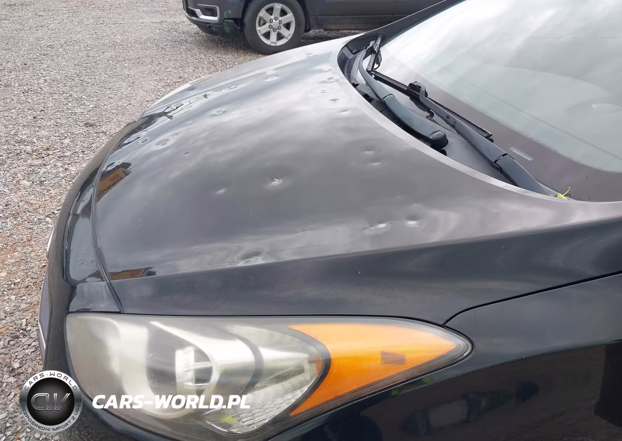 2017 Hyundai Elantra Gt VIN:KMHD35LH2HU363813 - 6