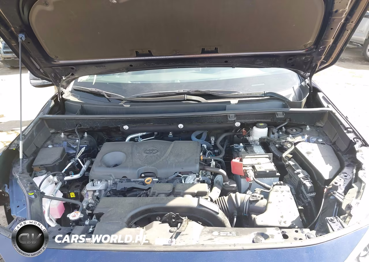 2020 Toyota Rav4 Xle VIN:2T3P1RFV5LW085727 - 10