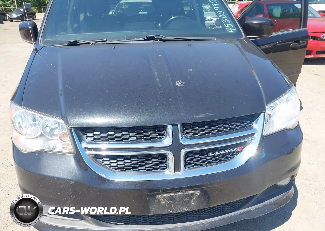 2017 Dodge Grand Caravan Sxt VIN:2C4RDGCG1HR760825 - 6