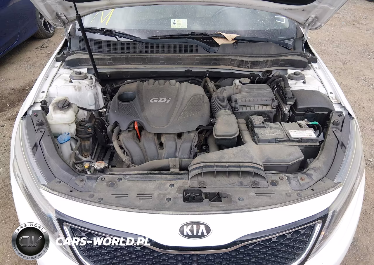 2015 Kia Optima Ex VIN:5XXGN4A74FG426364 - 10