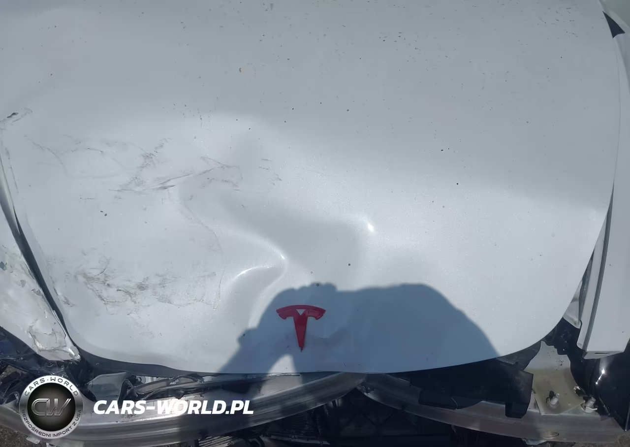 2024 Tesla Model 3 VIN:5YJ3E1EAXRF831266 - 10