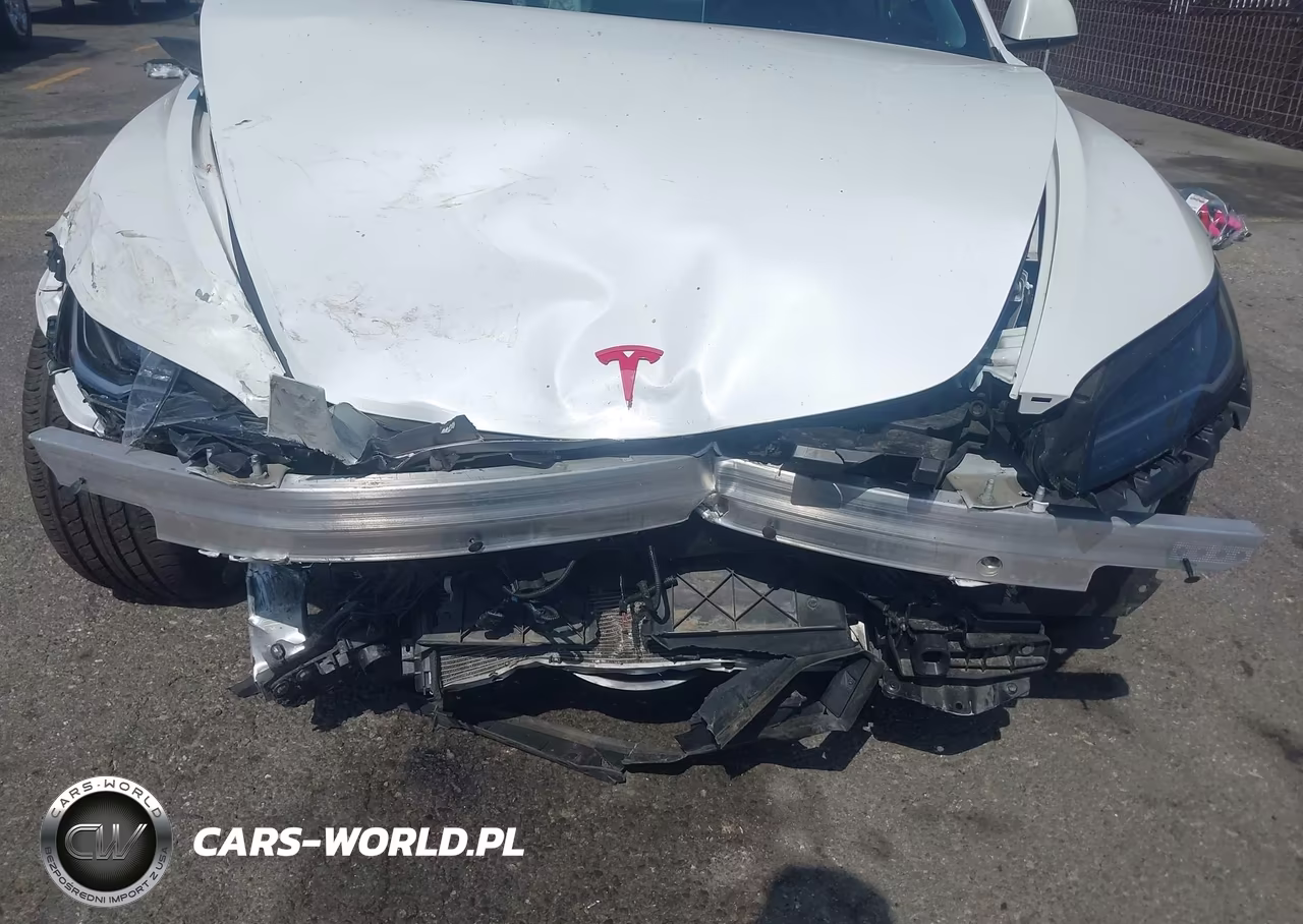 2024 Tesla Model 3 VIN:5YJ3E1EAXRF831266 - 19
