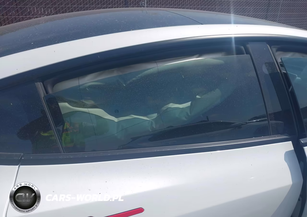 2024 Tesla Model 3 VIN:5YJ3E1EAXRF831266 - 8