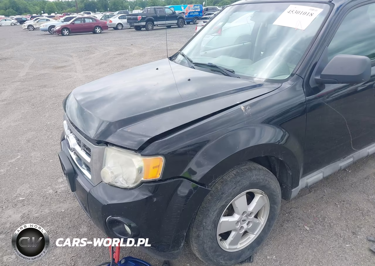 2009 Ford Escape Xlt VIN:1FMCU93GX9KC26008 - 6