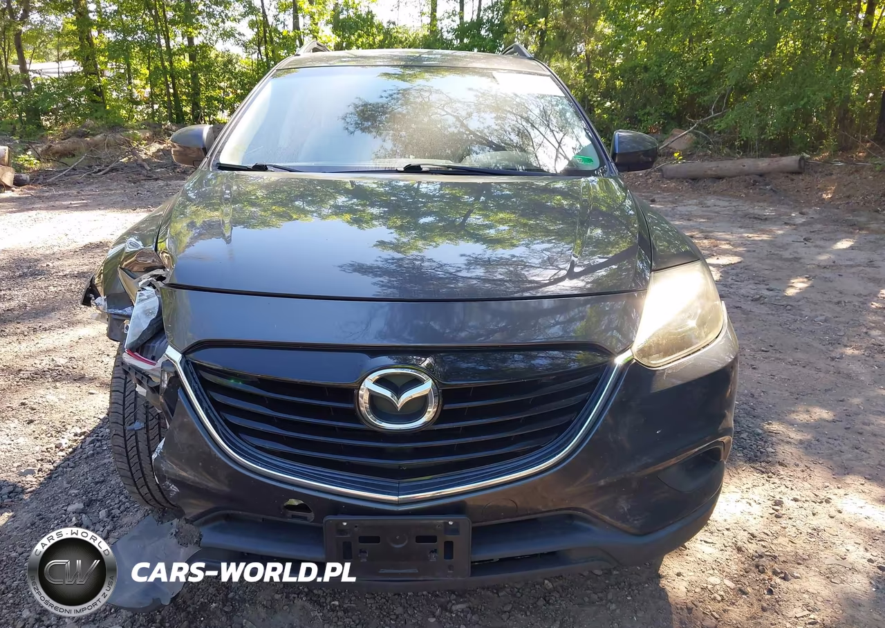 2013 Mazda Cx-9 Touring VIN:JM3TB3CV2D0408108 - 12