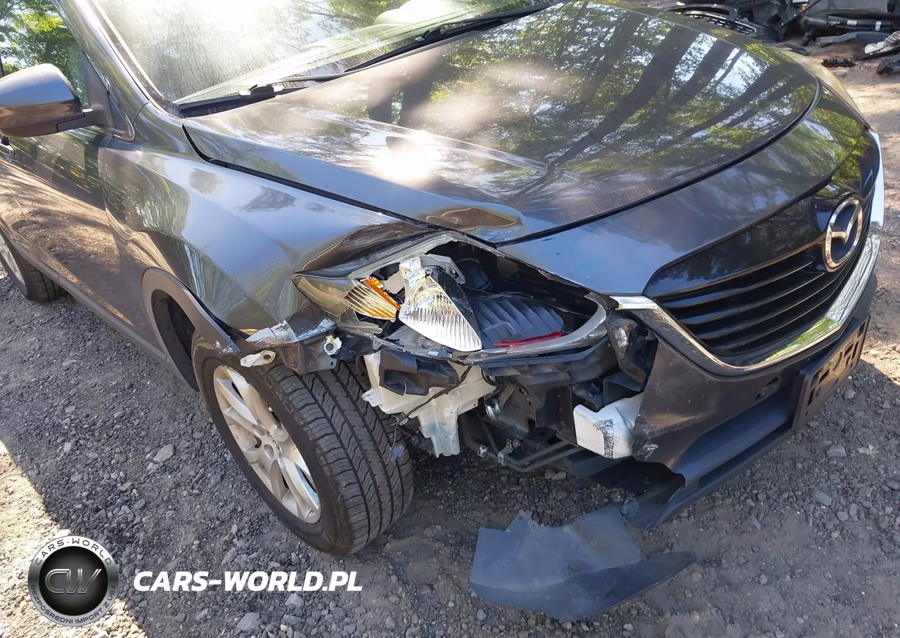 2013 Mazda Cx-9 Touring VIN:JM3TB3CV2D0408108 - 6