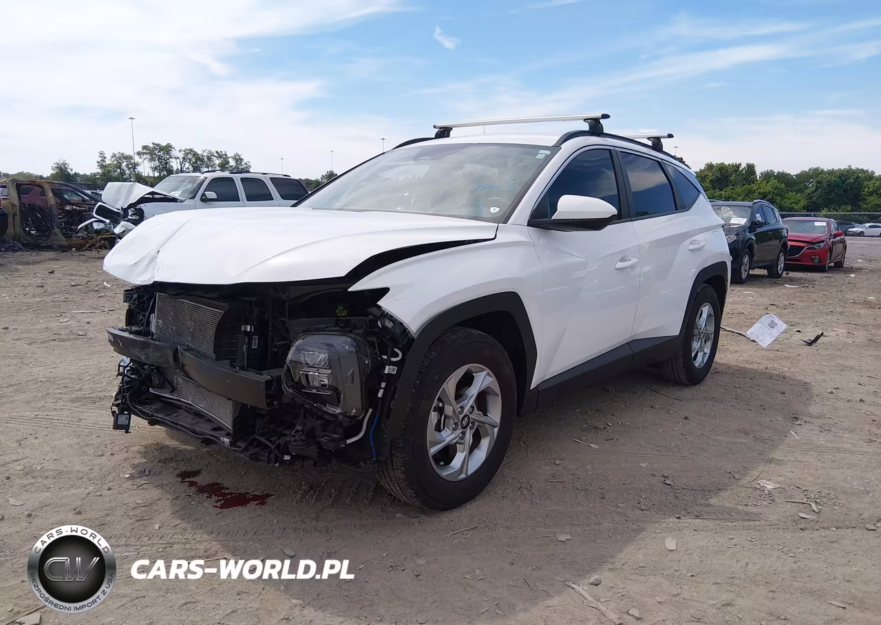 2024 Hyundai Tucson Sel VIN:5NMJB3DE7RH379923 - 2