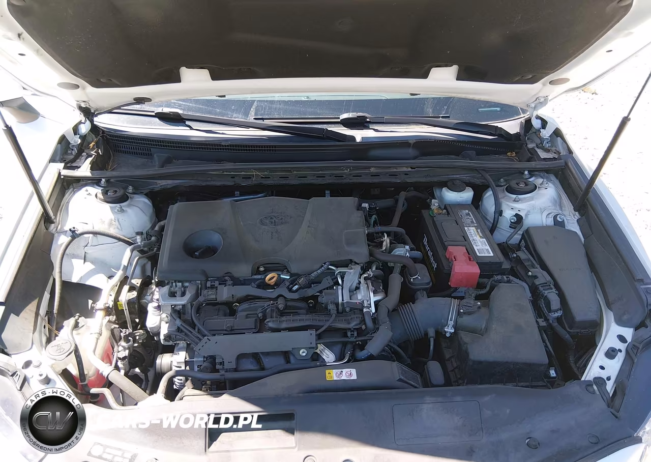 2019 Toyota Camry Xse VIN:4T1B61HK2KU800423 - 10