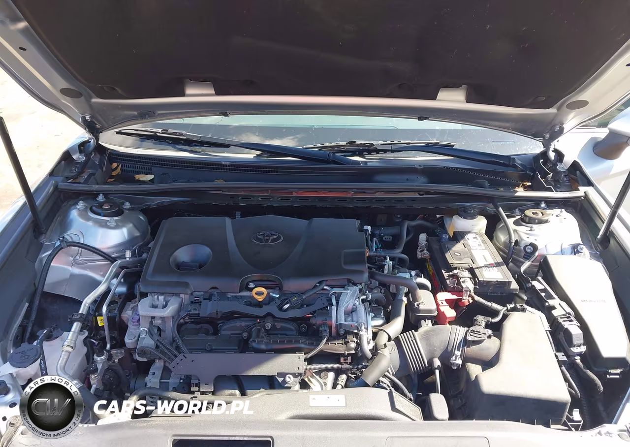 2020 Toyota Camry Le VIN:4T1C11AKXLU971418 - 10