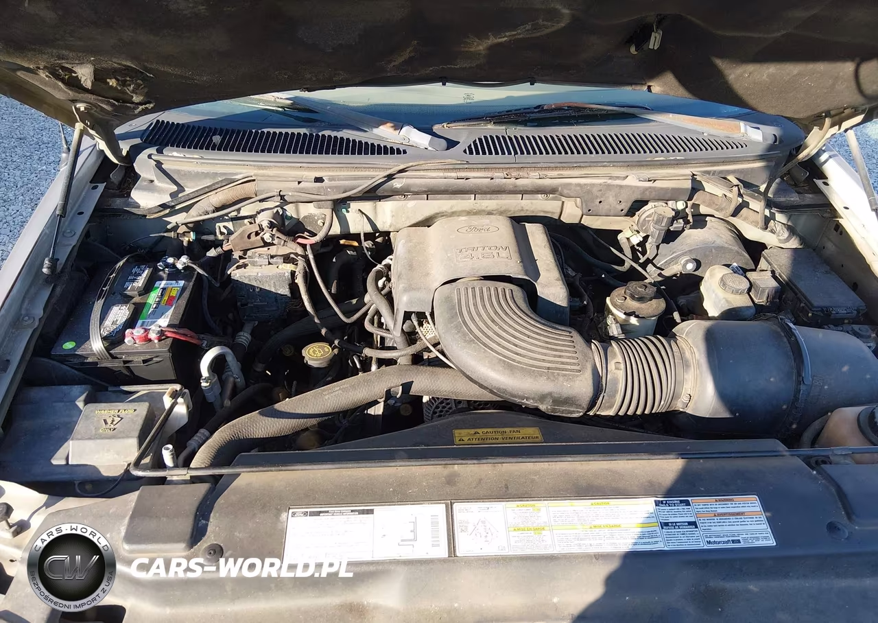 1999 Ford Expedition Eddie Bauer-Xlt VIN:1FMRU1763XLB07270 - 10