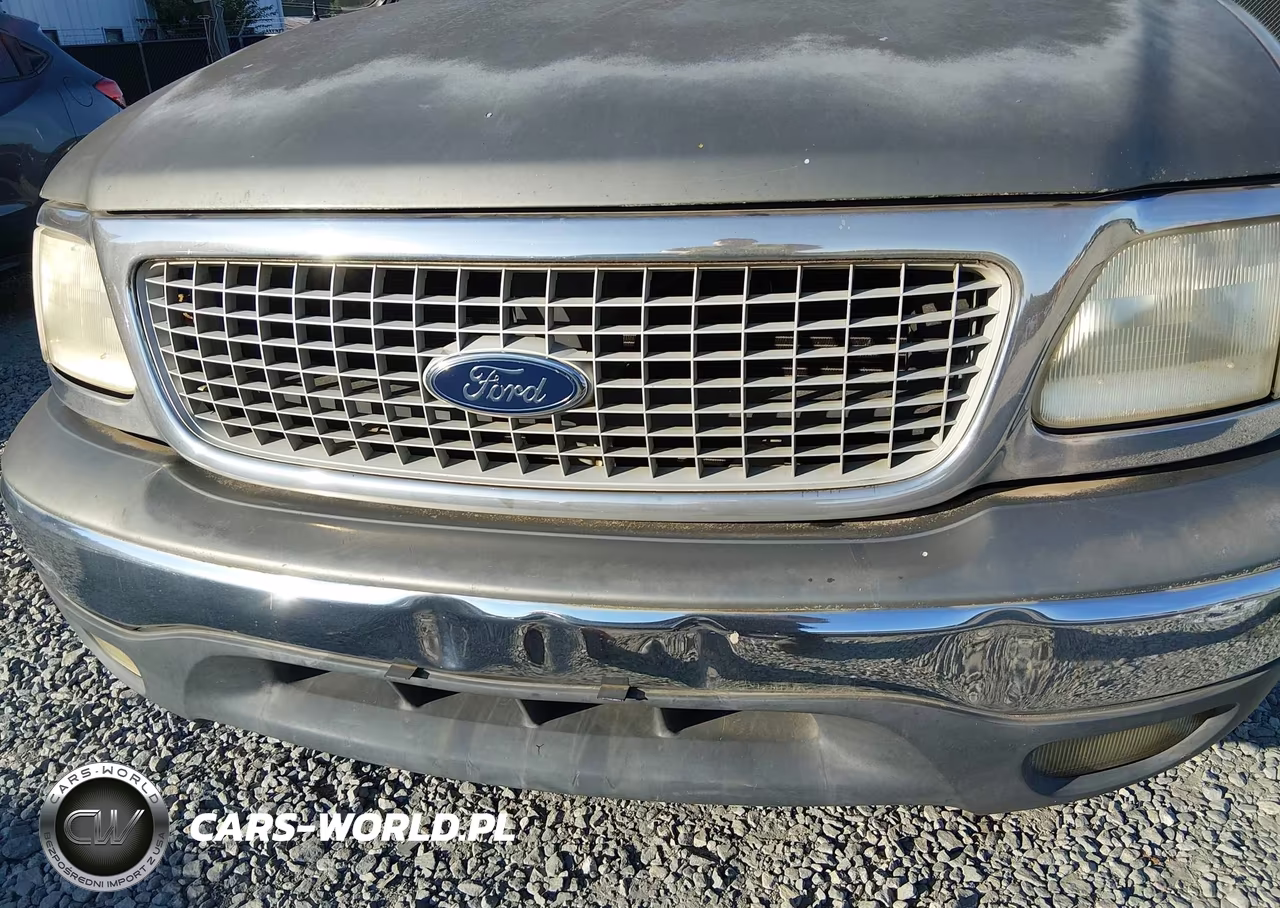 1999 Ford Expedition Eddie Bauer-Xlt VIN:1FMRU1763XLB07270 - 6