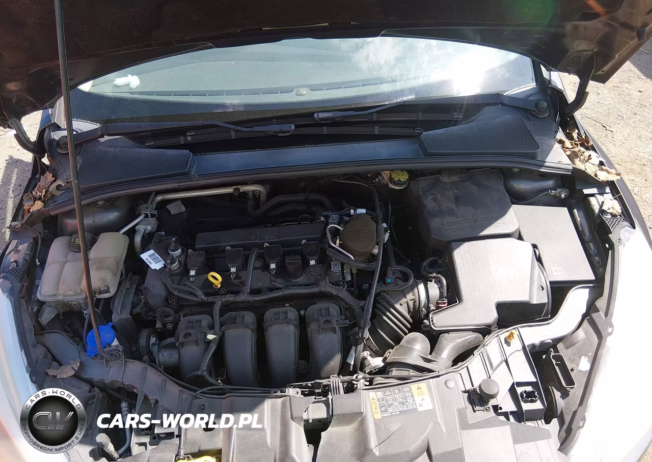 2015 Ford Focus Se VIN:1FADP3F28FL336998 - 10