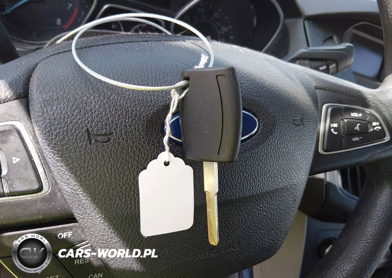2015 Ford Focus Se VIN:1FADP3F28FL336998 - 11