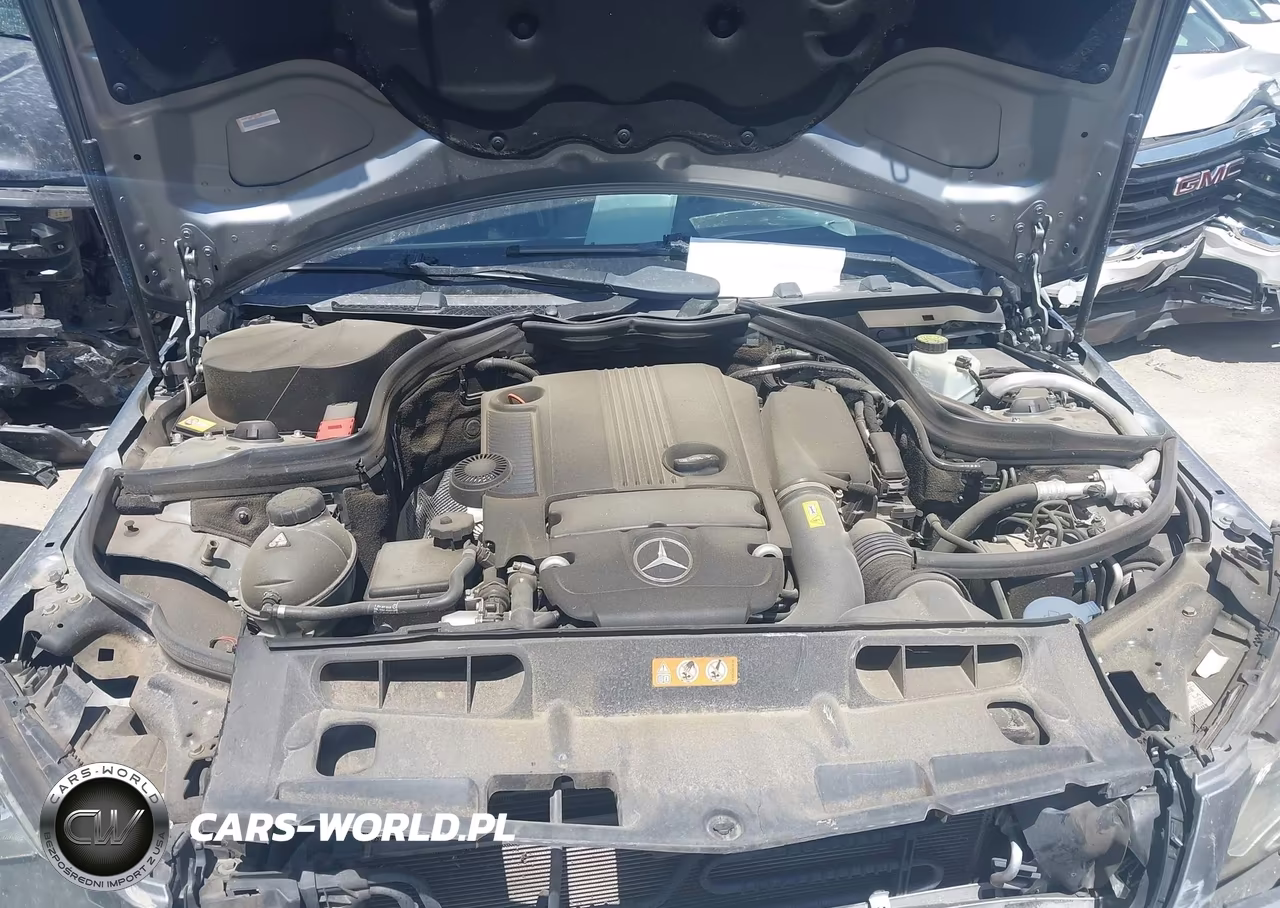 2013 Mercedes-Benz C 250 VIN:WDDGJ4HB7DG048879 - 10