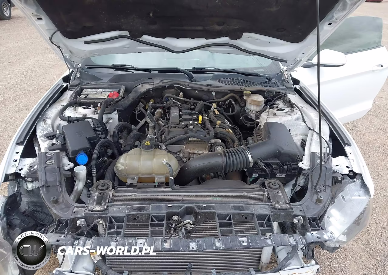 2022 Ford Mustang Ecoboost Premium Fastback VIN:1FA6P8TH8N5102233 - 10
