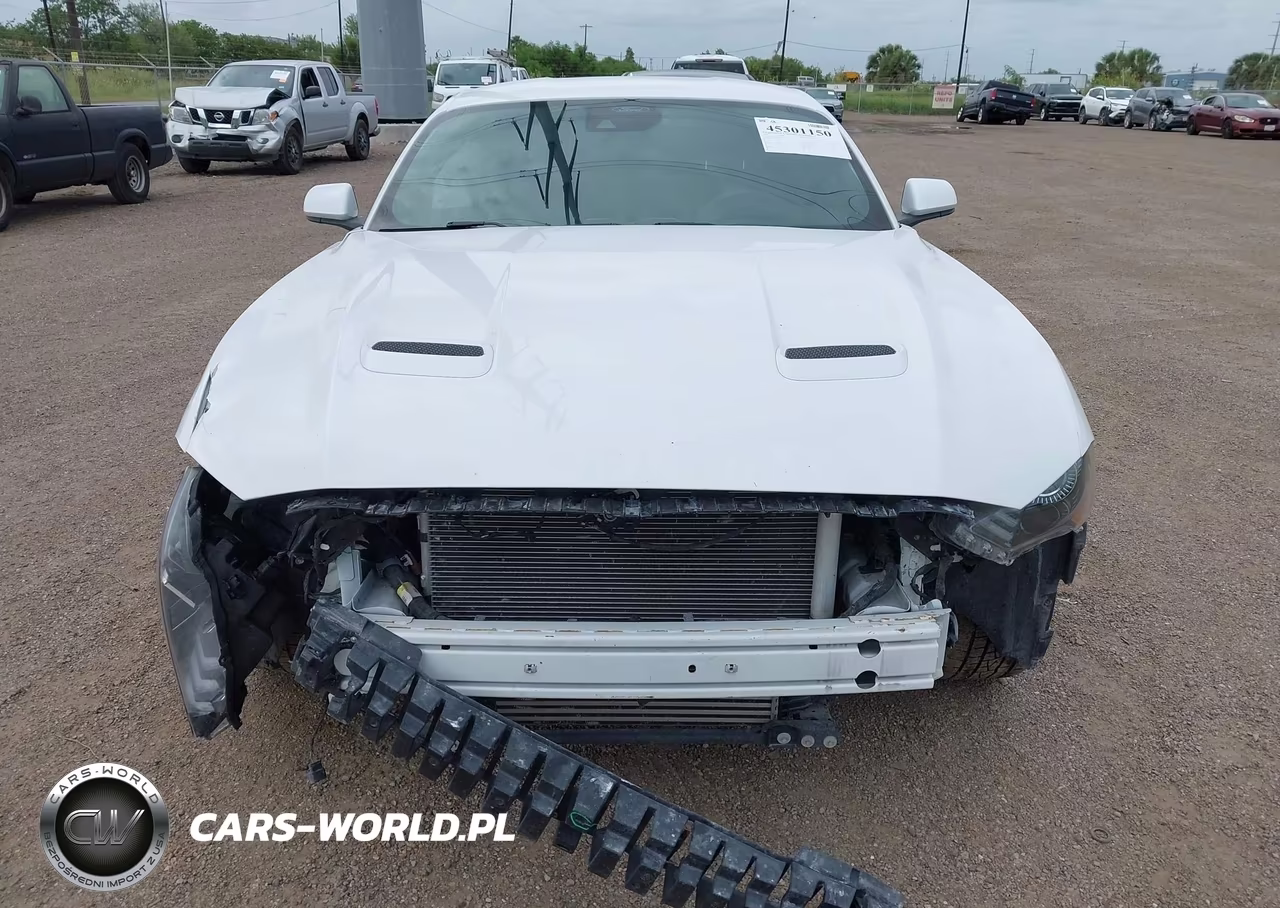 2022 Ford Mustang Ecoboost Premium Fastback VIN:1FA6P8TH8N5102233 - 12